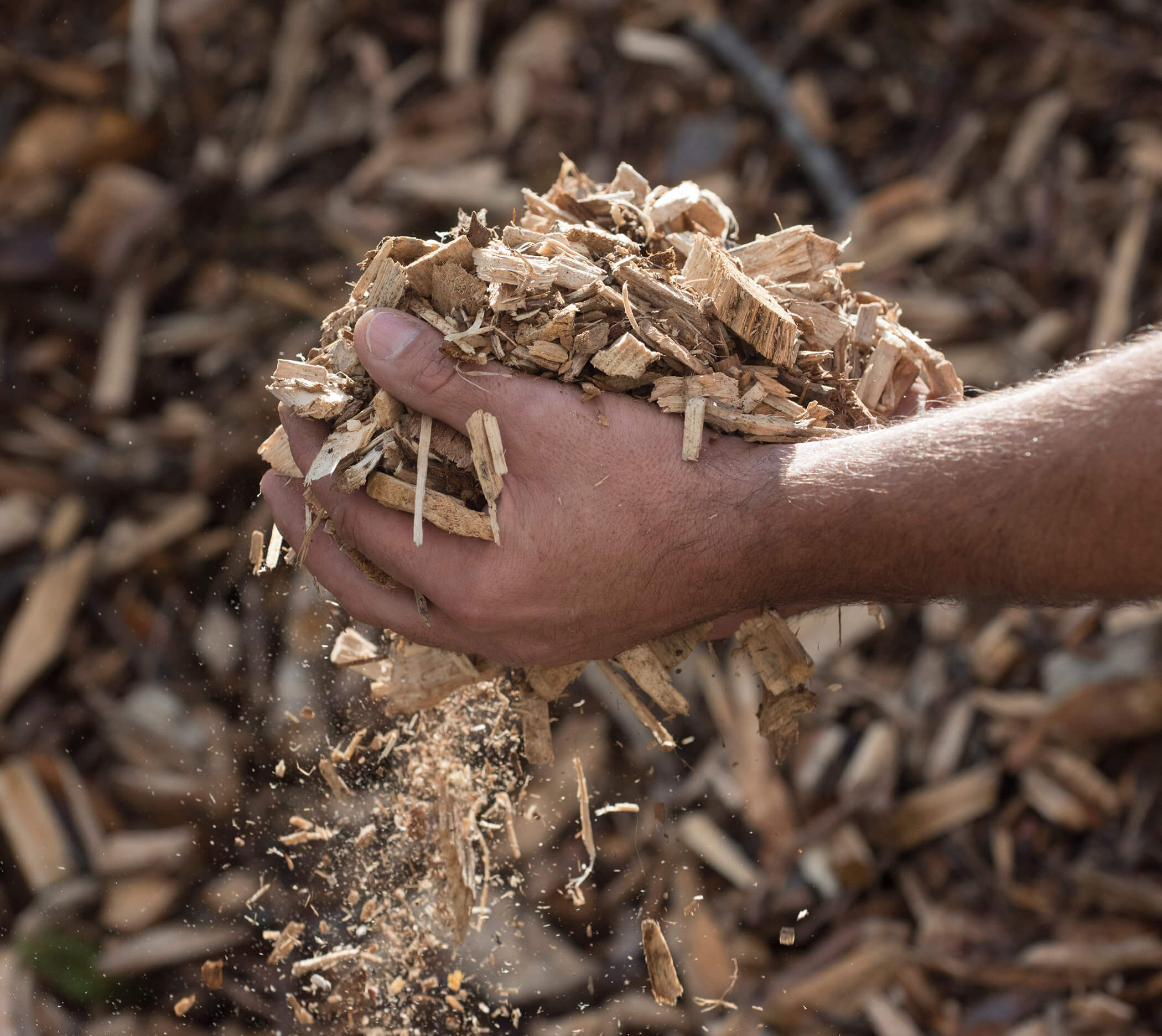 Heizung - Detail Hackschnitzel - Untergassmair GmbH Olang